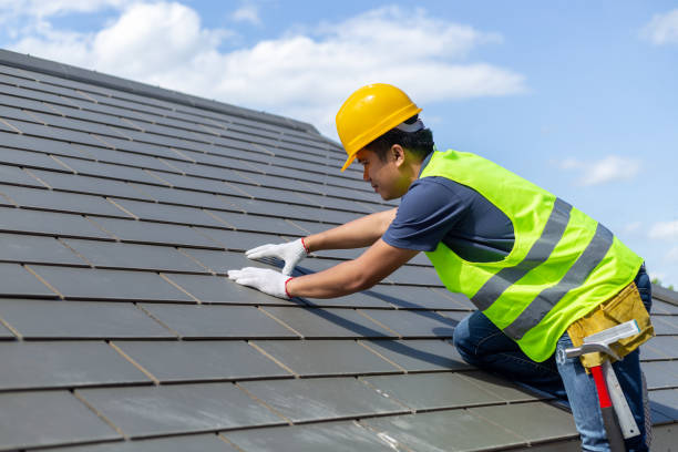 Best Storm Damage Roof Repair  in Dundee, MI