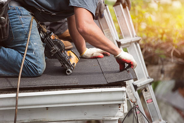 Best Residential Roofing Contractor  in Dundee, MI
