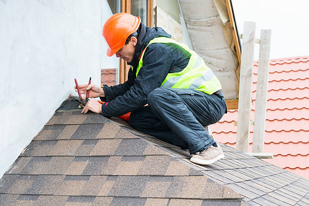 Best Roof Gutter Cleaning  in Dundee, MI