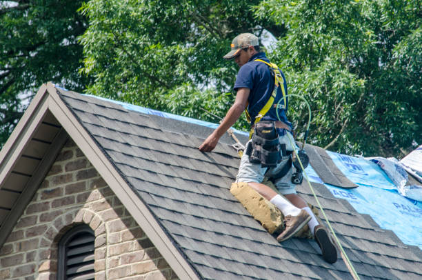 Best Affordable Roofing Company  in Dundee, MI